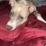 Nevaeh Barlow - Facebook