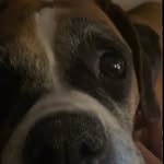 Nevaeh Bean - @nevaehbean_15s - Instagram