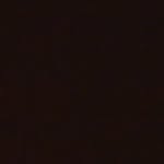 nevaeh bean - @board.person - Instagram