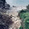 nevaehbean - @nevaehbean5 - TikTok