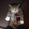 Nevaeh_Berry - @nevaeh_berry - TikTok