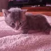 Nevaeh_SLAY - @nevaeh_booth1234 - TikTok