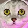 nevaehbooth16 - @nevaehbooth16 - TikTok