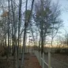 caseynoethnevaeh1 - @caseynoethnevaeh1 - TikTok