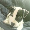 Nevaeh Chambers - @nevaehchambers - TikTok