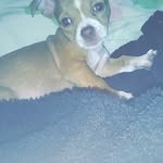 Nevaeh Clark - @nevaeh.clark.5268 - Instagram