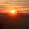 Nevaeh Cole - @nevaehcole15 - TikTok