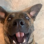 Nevaeh David - @themasteracidfart - Instagram