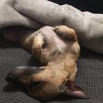 Nevaeh Davidson - @davidson.nevaeh - Instagram