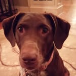 Nevaehfarmer - @nevaehfarmer12 - Instagram