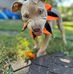 Nevaeh Grace - Facebook