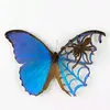 ButterflysorSpiders - @nevaehgriffith7 - TikTok