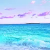 Nevaeh Hall - @nevaeh.hall95 - TikTok
