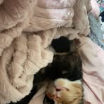 Nevaeh Harper - Facebook