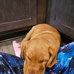 Nevaeh Hoffman - Facebook