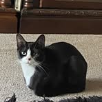 Nevaeh Holt - Facebook
