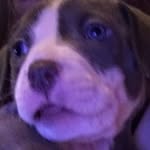 Nevaehhunt - @nevaeh_hunt1234 - Instagram