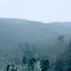 Nevaeh Lynch - @nevaeh.lynch0 - TikTok