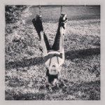 Nevaeh Mcdaniel - @nay_907 - Instagram