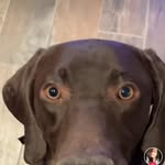 Nevaeh Meyers - @nevaehmeyers45 - Instagram