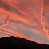 Nevaeh Morrison - @nevaehmorrison42 - TikTok