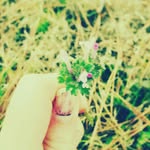 Nevaeh Morse Photography - @morse_photography - Instagram