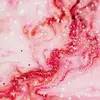 Nevaeh Murphy - @nevaeh.murphy95 - TikTok