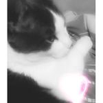 Nevaeh - @nevaeh_olson_101 - Instagram