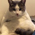 Nevaeh - @nevaeh_olson_vandale - Instagram