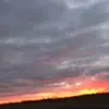 Nevaeh Olson - @nevaeholson2 - TikTok