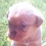 NevaehOlson - @princesslovebff - Instagram