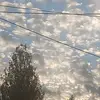 Nevaeh Ray - @nevaeh.ray7 - TikTok