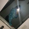 Nevaeh Rice - @nevaehrice5 - TikTok