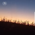 Nevaeh riggs - @horse_lover5115 - Instagram