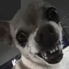 Nevaeha Robles - @nevaeharobles73 - TikTok