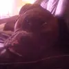 Nevaeh Rogers - @nevaeh.rogers.hi - TikTok