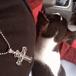 Nevaeh Ryan - @nevaeh.ryan_62 - Instagram