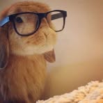Nevaeh Saunders - Facebook