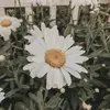 nevaehschmidt1 - @nevaehschmidt1 - TikTok