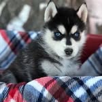 Nevaeh elezabeth sims - @nevaehsims112 - Instagram