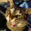 Nevaeh Stokes - @nevaehpookiebears - TikTok