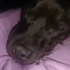 nevaehstuart7 - @nevaehstuart7 - TikTok
