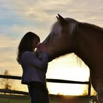 Nevaeh Sullivan - @horse___photography20 - Instagram