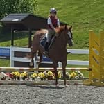 Nevaeh Sullivan - @horse_drawings02 - Instagram