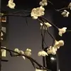 Nevaeh Ward - @nevaehward4 - TikTok