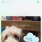 Nevaeh Ward - Facebook