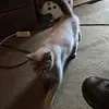 Nevaehweaver - @nevaehmarieweaver - TikTok