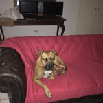 Nevaeh Wilson - @nevaehwilson6062 - Instagram