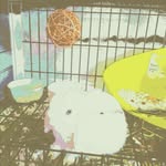 Patty Duke - @nevaehwise2011 - Instagram