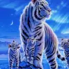 Nevaehwolfcool - @fallinggirl104 - TikTok